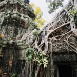 Ankor Wat Bild 1