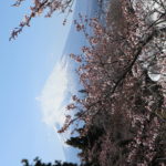 Fuji Bild 2