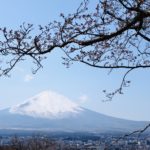 Fuji Bild 12