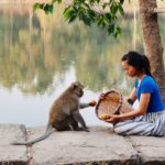 Siem Reap Bild 8