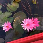 Udon Thani Bild 1