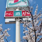 Unser Roadtrip durch Japan Bild 5